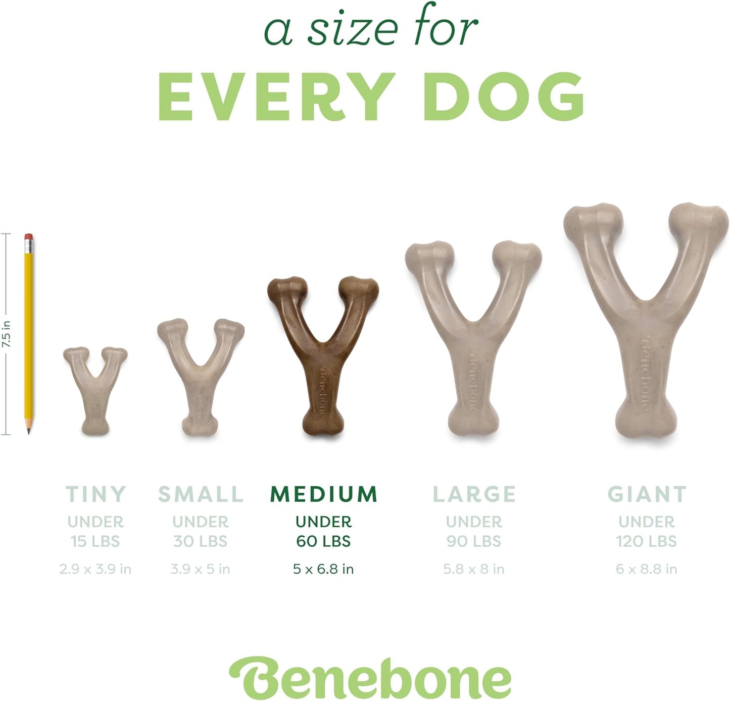 Wishbone Durable Dog Chew Toy