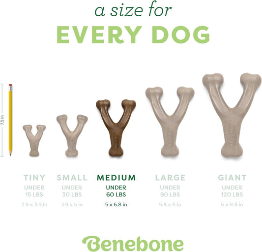 Wishbone Durable Dog Chew Toy